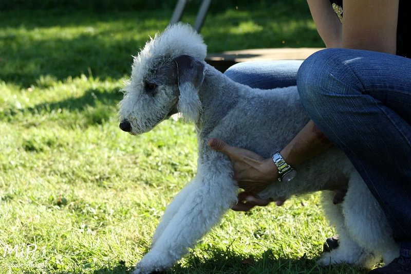 2010-10-03 Coursing-Training GE (9).jpg